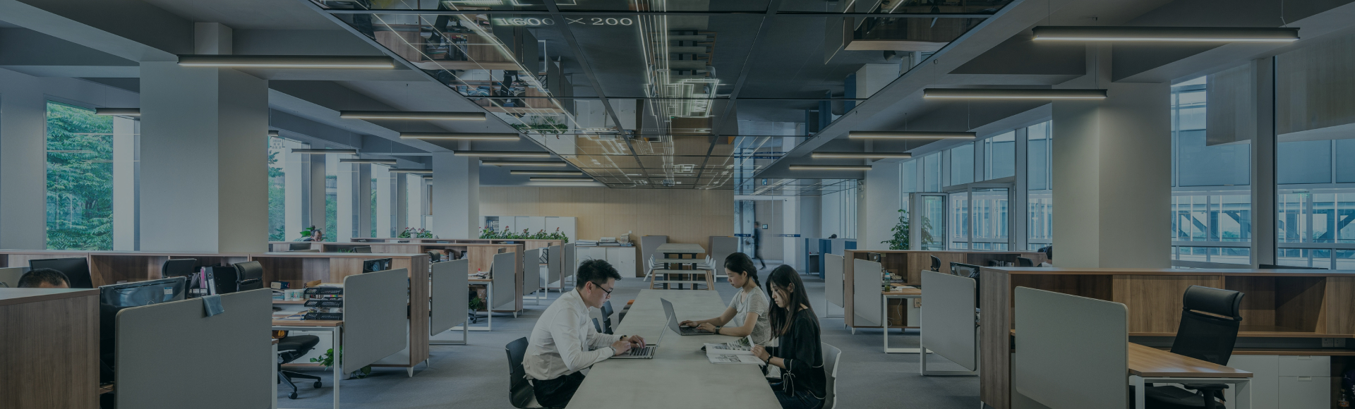 quan tri doanh nghiep background